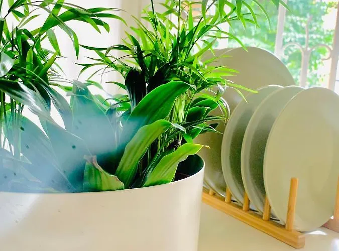 Plant House Eur *