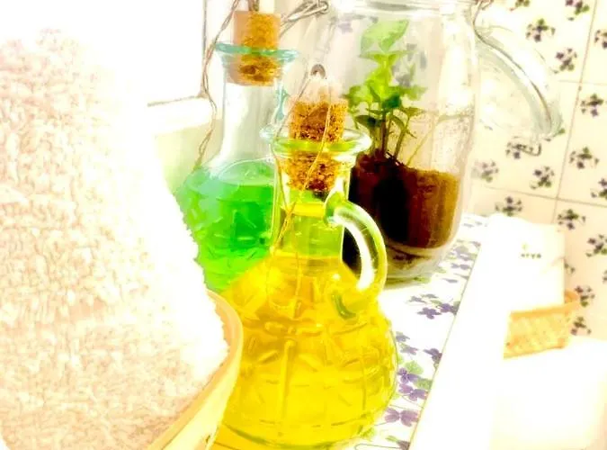 Plant House Eur Roma