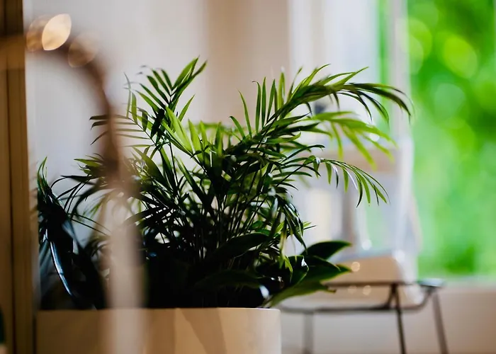 Plant House Eur Casa de férias